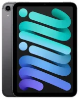 iPad mini 8.3 (2021) 6. gen. 256GB Cellular gwiezdna szarość
