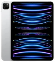 iPad  Pro 11 (2022) 4. gen. 2TB Cellular srebrny
