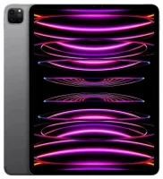 iPad Pro 12.9 (2022) 6. gen. 128GB Cellular gwiezdna szarość