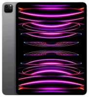 iPad Pro 12.9 (2022) 6. gen. 256GB gwiezdna szarość